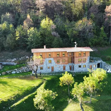 - Treeb Tramontana