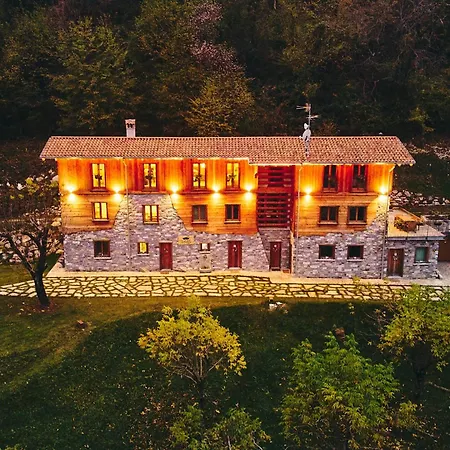 - Treeb Tramontana *