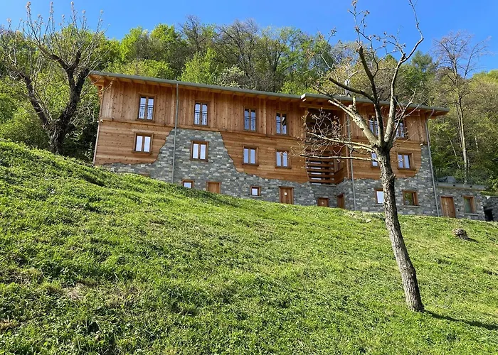 - Treeb Tramontana *