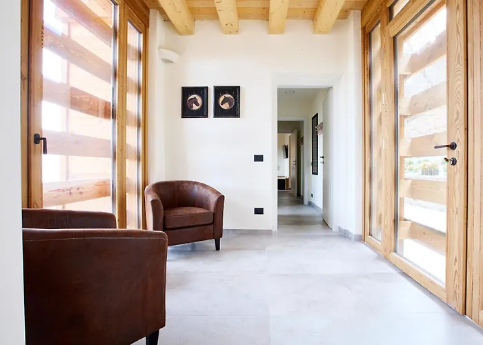 - Treeb Tramontana